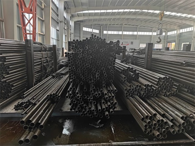 IMG_20230401_141056.jpg IMG_20230401_141056.jpg